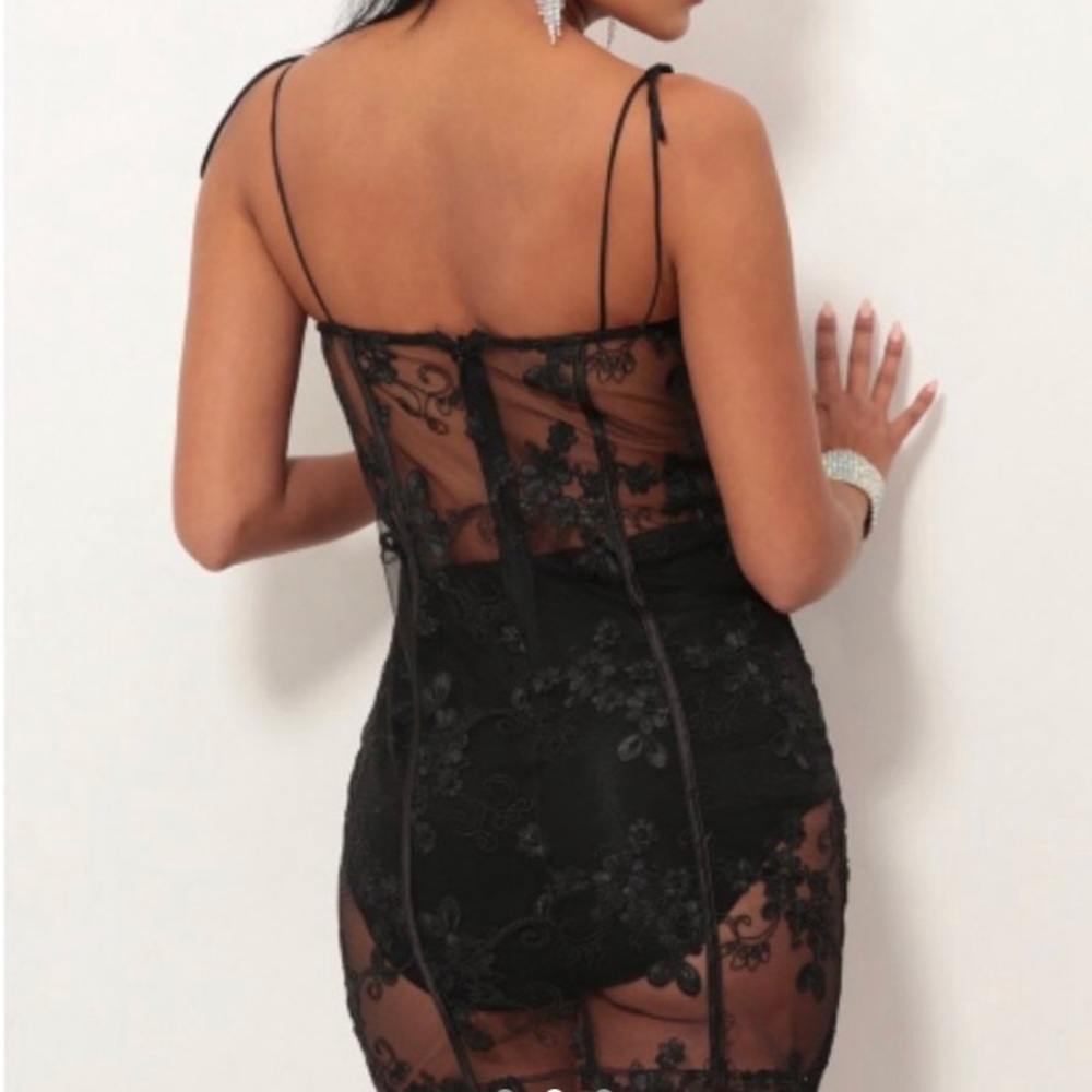 Lucy in the Sky | Lace Mesh Dress - Picture 2 of 3